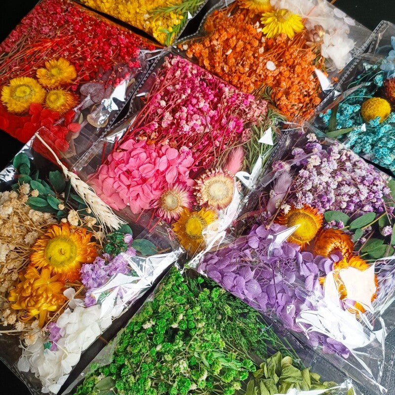 Imported Dried Flowers Natural Floral DIY Crafts Resin Art Decorative